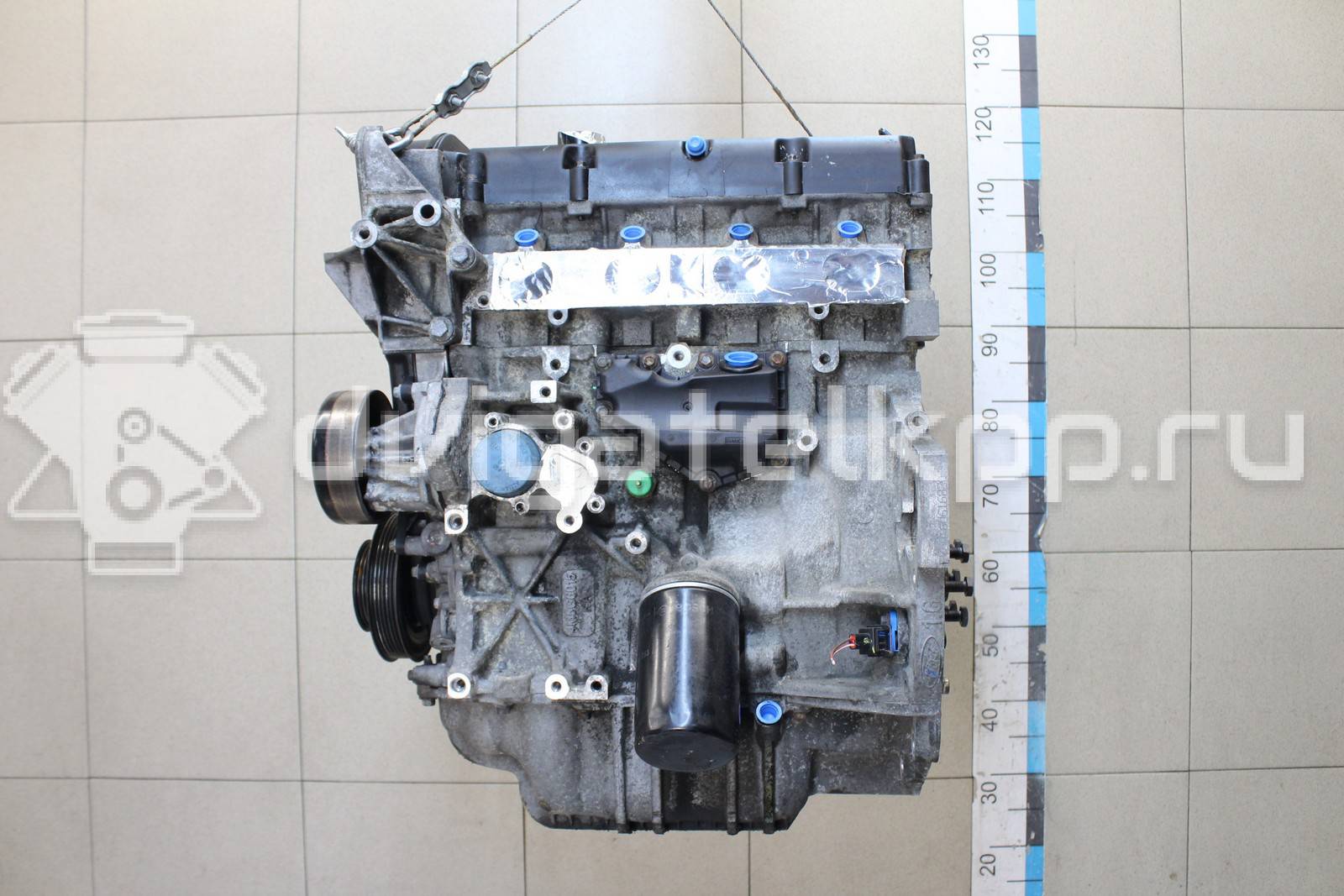 Фото Контрактный (б/у) двигатель FYJB для Ford Australia / Ford Asia / Oceania 100 л.с 16V 1.6 л бензин 1571097 {forloop.counter}}