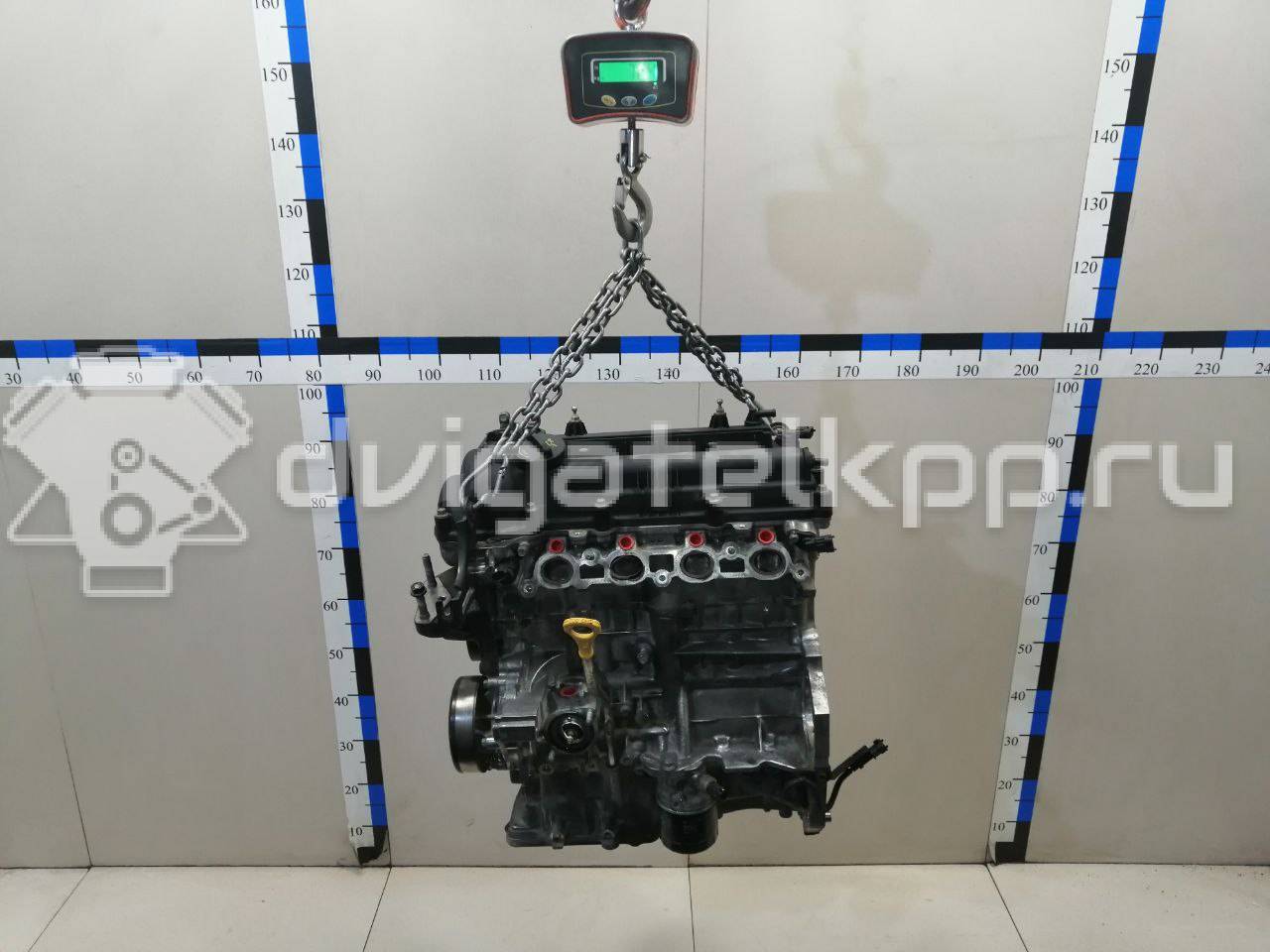 Фото Контрактный (б/у) двигатель G4FG для Hyundai / Kia 120-132 л.с 16V 1.6 л бензин Z71312BZ00 {forloop.counter}}