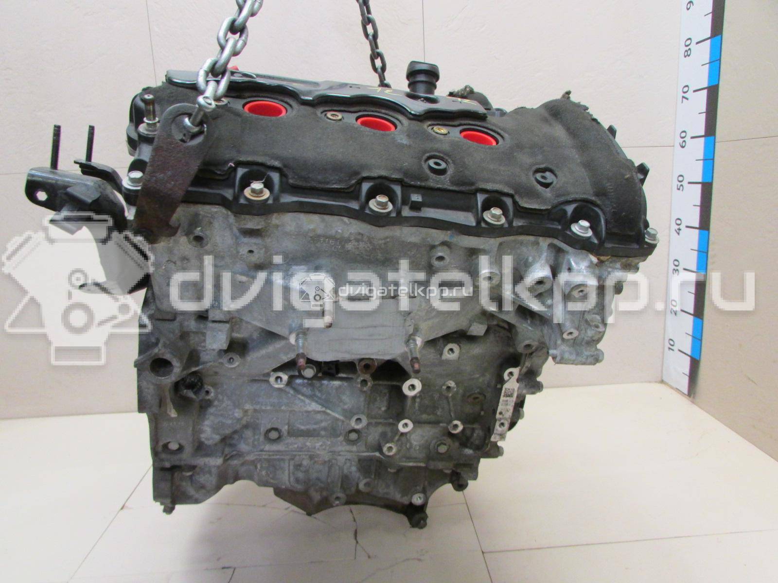 Фото Контрактный (б/у) двигатель LF1 для Gmc / Chevrolet / Buick / Cadillac / Buick (Sgm) / Holden / Saab 254-258 л.с 24V 3.0 л бензин 19259244 {forloop.counter}}