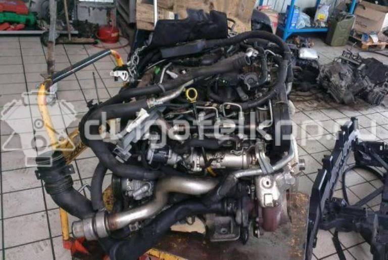 Фото Контрактный (б/у) двигатель 276DT для Land Rover Range Rover / Discovery 190 л.с 24V 2.7 л Дизельное топливо {forloop.counter}}