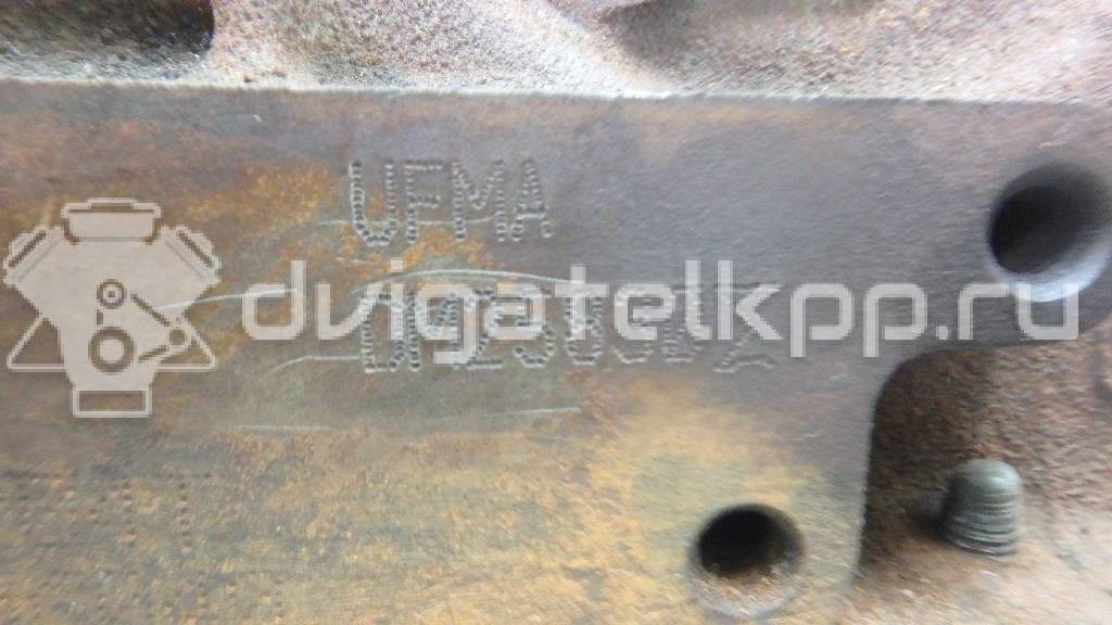 Фото Контрактный (б/у) двигатель TXBB для Ford / Ford Australia 163 л.с 16V 2.0 л Дизельное топливо 1838469 {forloop.counter}}