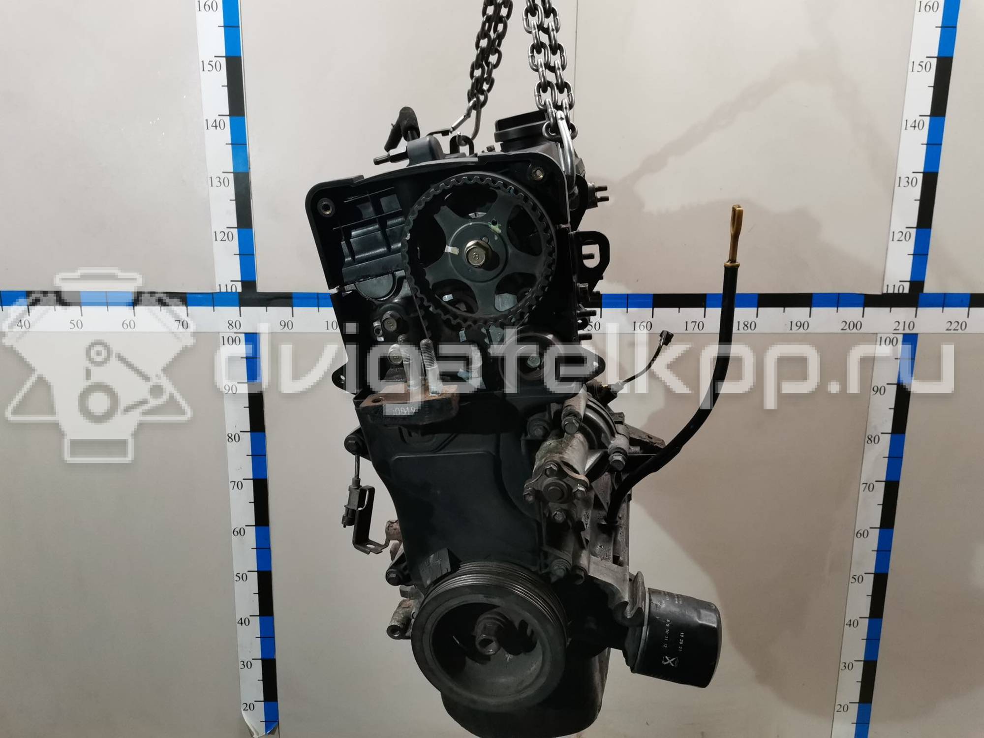 Фото Контрактный (б/у) двигатель G4EE для Hyundai / Kia 97 л.с 16V 1.4 л бензин KZ38302100 {forloop.counter}}