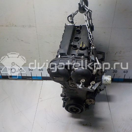 Фото Контрактный (б/у) двигатель PNDA для Ford Australia Focus 125 л.с 16V 1.6 л бензин 1685722