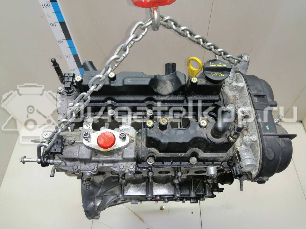 Фото Контрактный (б/у) двигатель JQMB для Ford / Ford Australia 150 л.с 16V 1.6 л бензин DS7Z6007U {forloop.counter}}