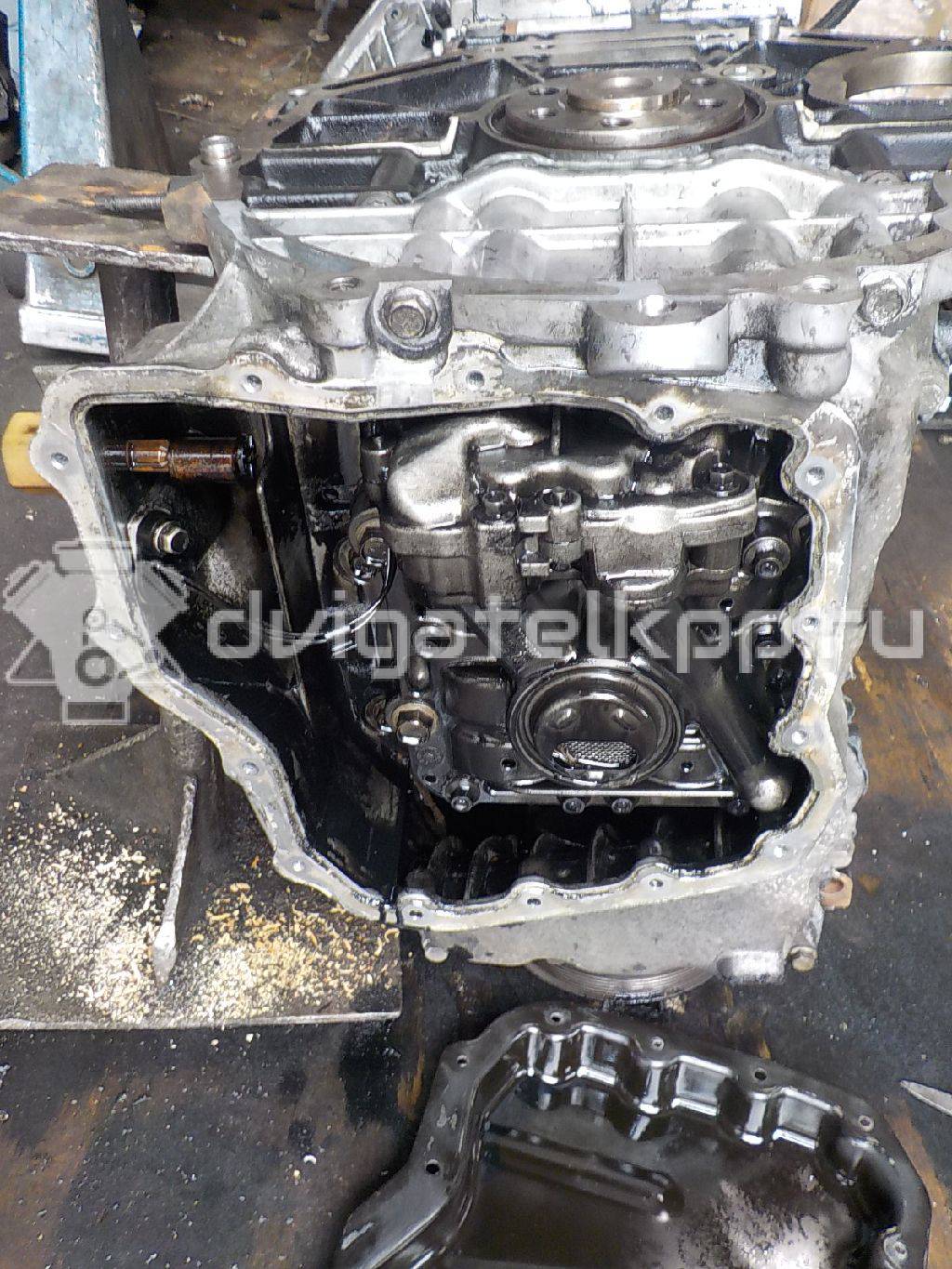 Фото Контрактный (б/у) двигатель Z 22 D1 для Chevrolet / Holden 163-188 л.с 16V 2.2 л Дизельное топливо 25196692 {forloop.counter}}