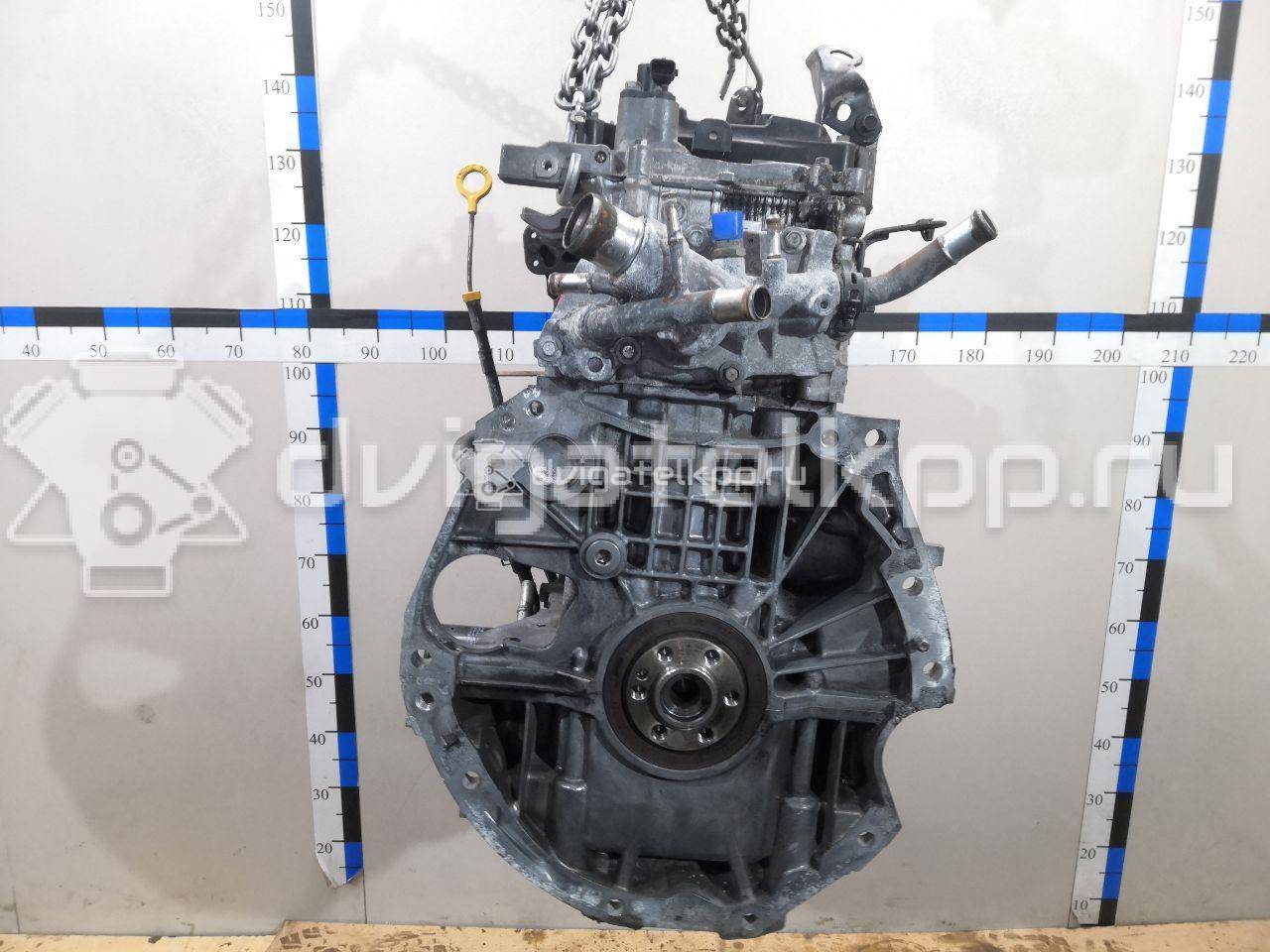 Фото Контрактный (б/у) двигатель MR20DE для Nissan (Dongfeng) / Suzuki / Samsung / Nissan 129-147 л.с 16V 2.0 л Бензин/спирт 10102JG4MA {forloop.counter}}