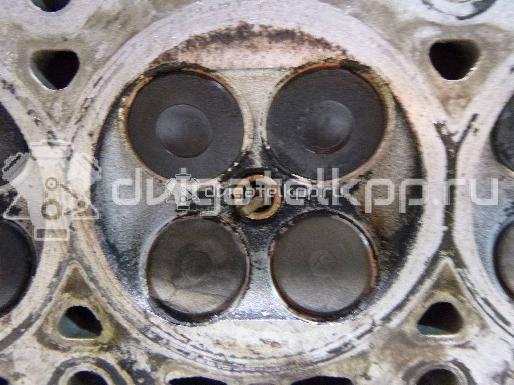 Фото Головка блока  1560511 для Mazda / Ford Australia / Eunos {forloop.counter}}