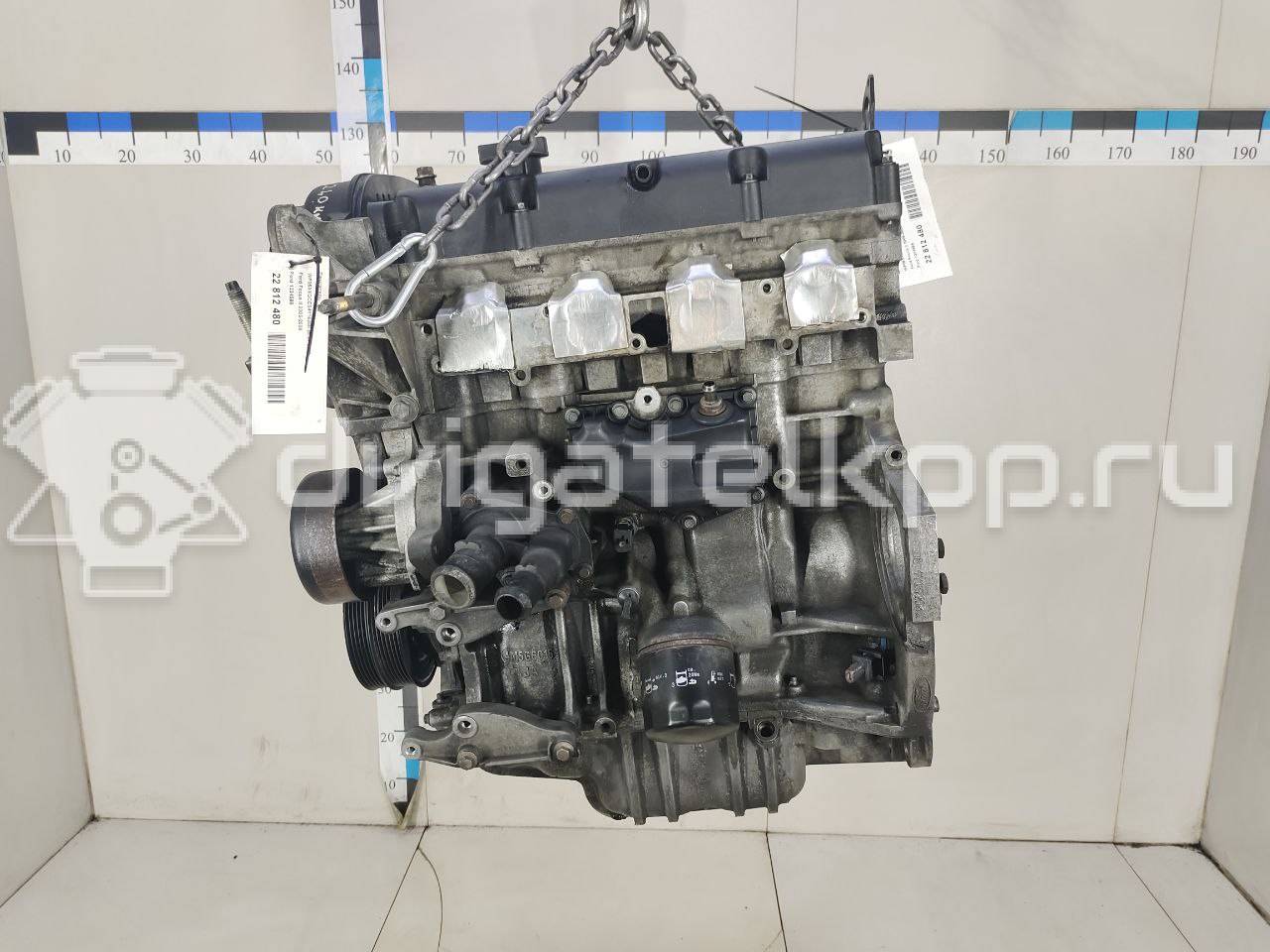 Фото Контрактный (б/у) двигатель ASDB для Ford Focus 80 л.с 16V 1.4 л бензин 1334599 {forloop.counter}}