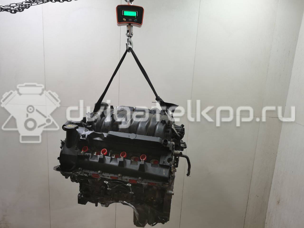 Фото Контрактный (б/у) двигатель 508PN для Jaguar / Land Rover 375-390 л.с 32V 5.0 л бензин LR012453 {forloop.counter}}