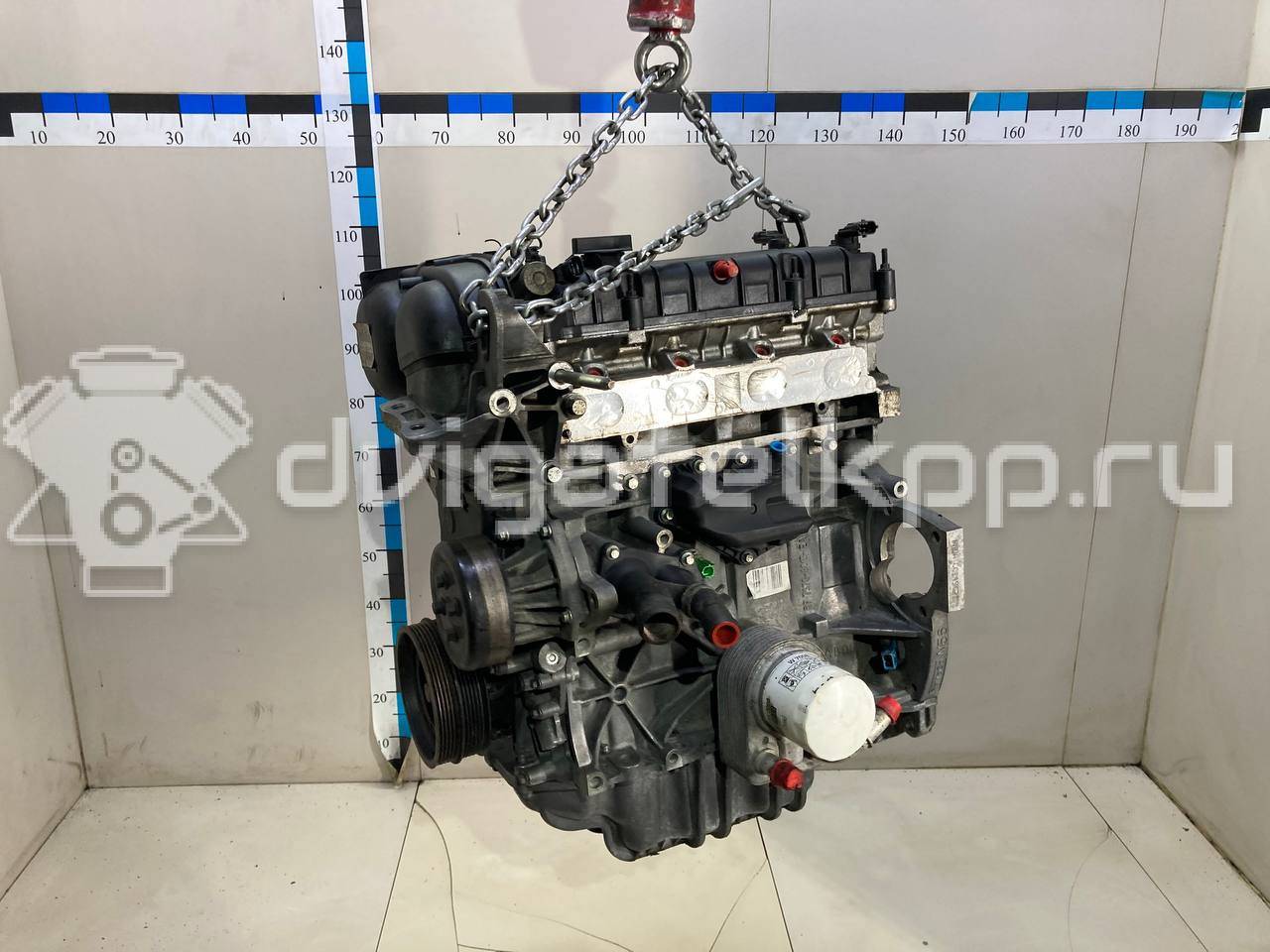 Фото Контрактный (б/у) двигатель CT для Volkswagen / Ford (Changan) 110 л.с 16V 1.5 л бензин 1727626 {forloop.counter}}