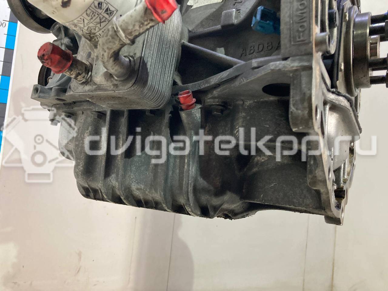 Фото Контрактный (б/у) двигатель CT для Volkswagen / Ford (Changan) 110 л.с 16V 1.5 л бензин 1727626 {forloop.counter}}