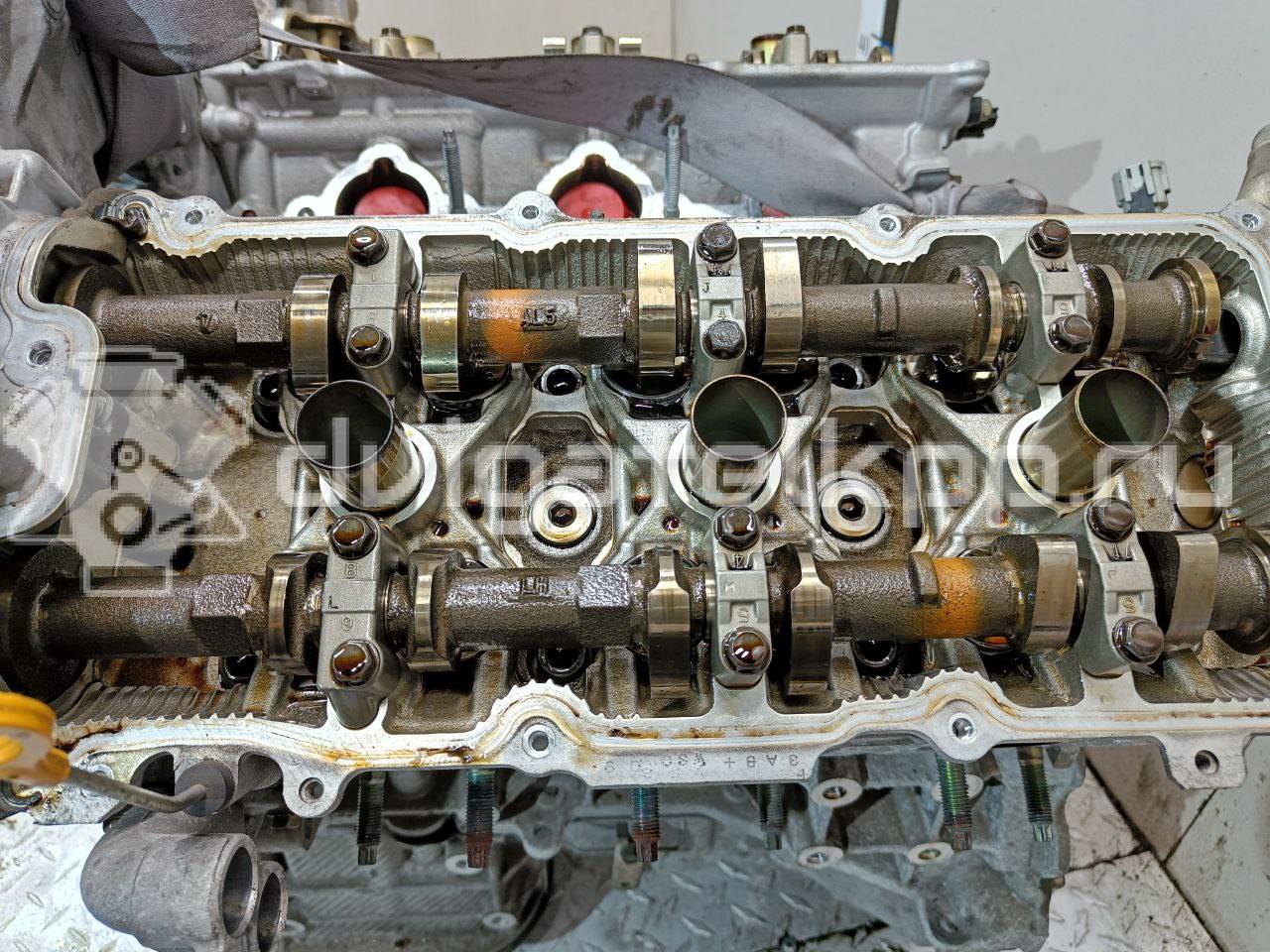 Фото Контрактный (б/у) двигатель VQ35DE для Infiniti / Mitsuoka / Isuzu / Nissan / Nissan (Dongfeng) 240 л.с 24V 3.5 л бензин 101029W2AF {forloop.counter}}