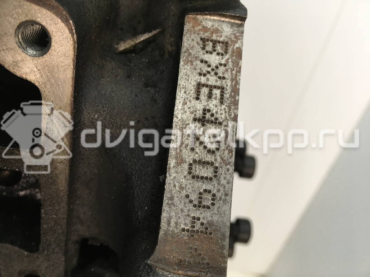 Фото Контрактный (б/у) двигатель BXE для Volkswagen Passat / Touran / Jetta / Golf 105 л.с 8V 1.9 л Дизельное топливо 03G100098MX {forloop.counter}}