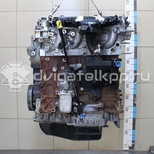 Фото Контрактный (б/у) двигатель UFMA для Ford Kuga 140 л.с 16V 2.0 л Дизельное топливо 1838469