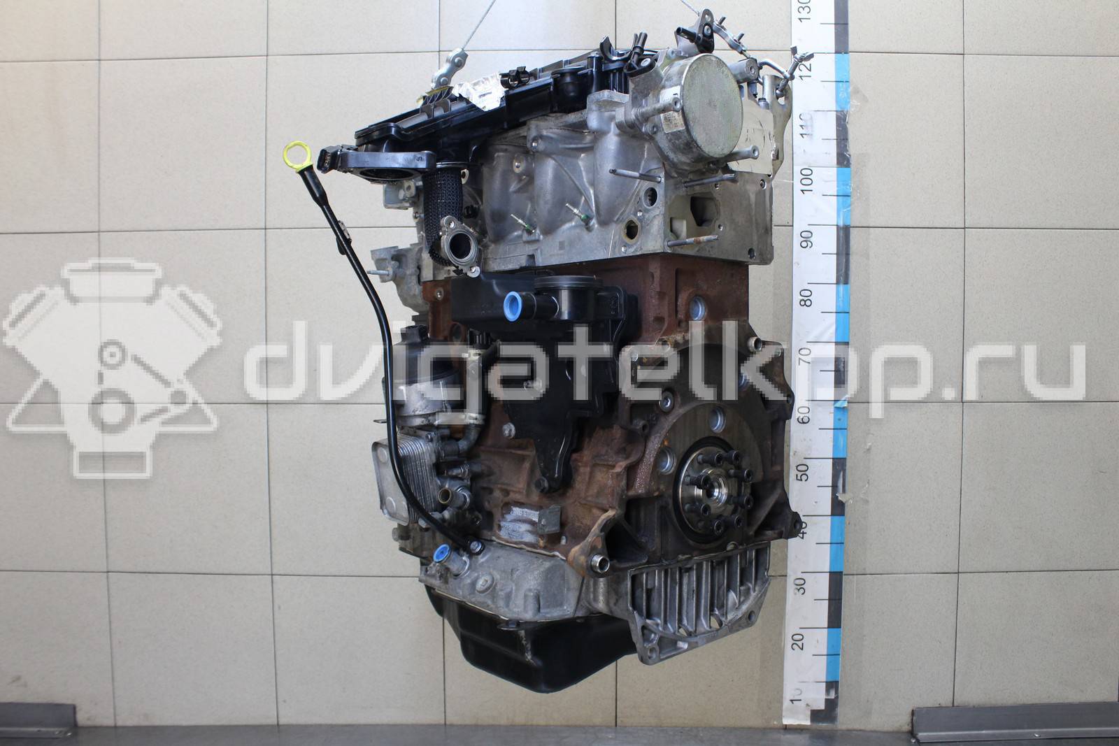 Фото Контрактный (б/у) двигатель UFMA для Ford Kuga 140 л.с 16V 2.0 л Дизельное топливо 1838469 {forloop.counter}}