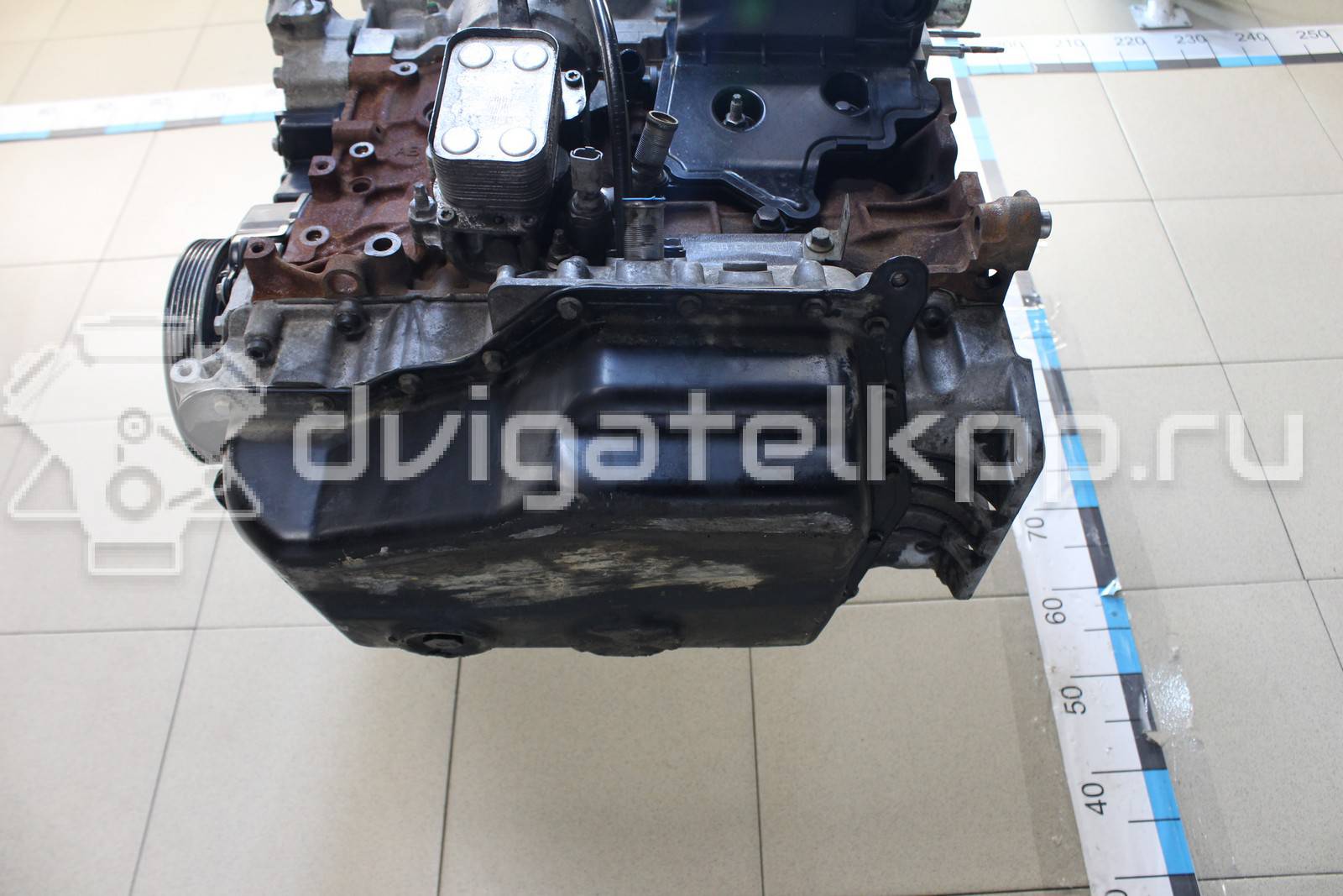 Фото Контрактный (б/у) двигатель UFMA для Ford Kuga 140 л.с 16V 2.0 л Дизельное топливо 1838469 {forloop.counter}}