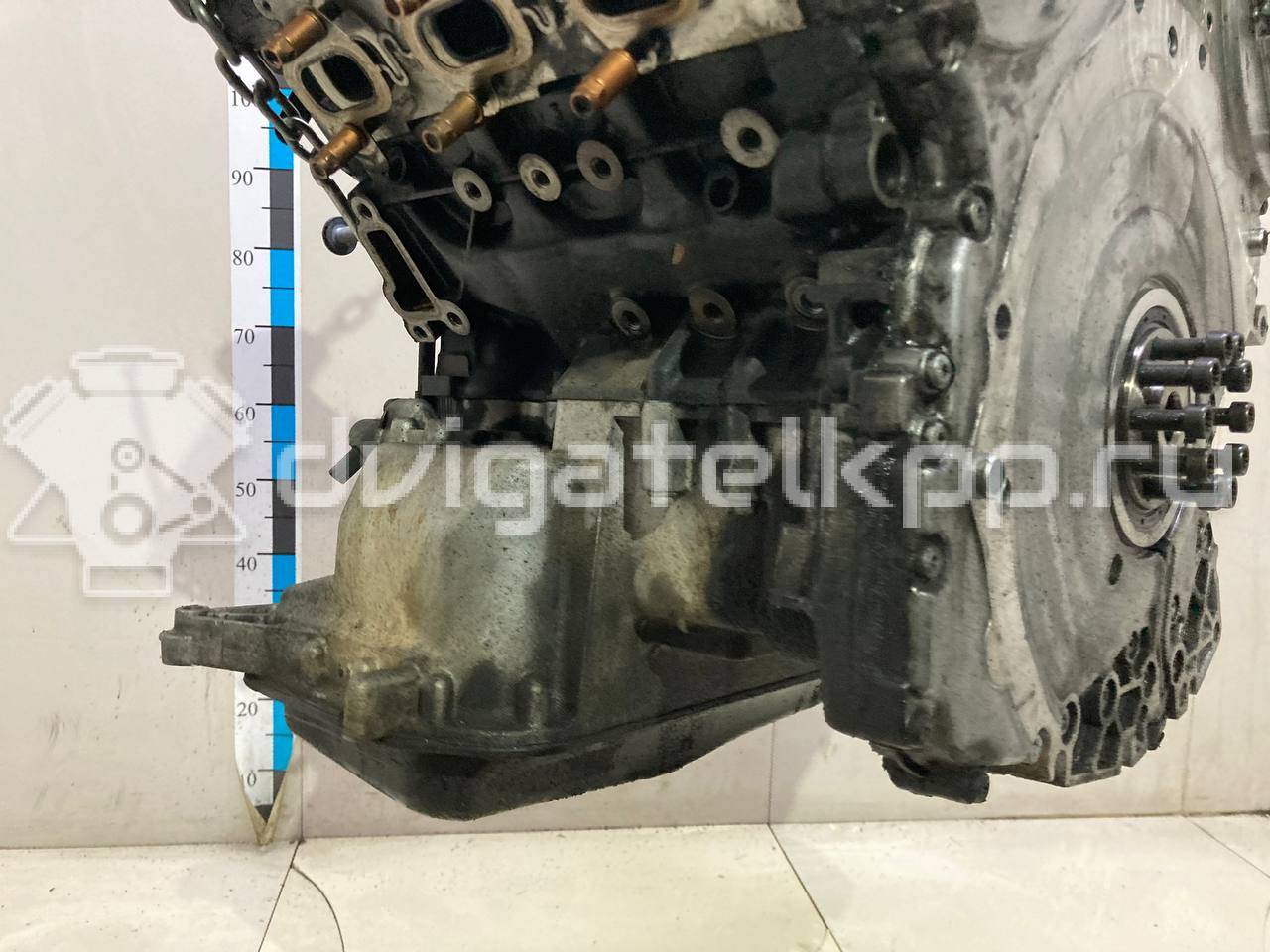 Фото Контрактный (б/у) двигатель CCWA для Audi A5 / A4 240 л.с 24V 3.0 л Дизельное топливо 059100098J {forloop.counter}}