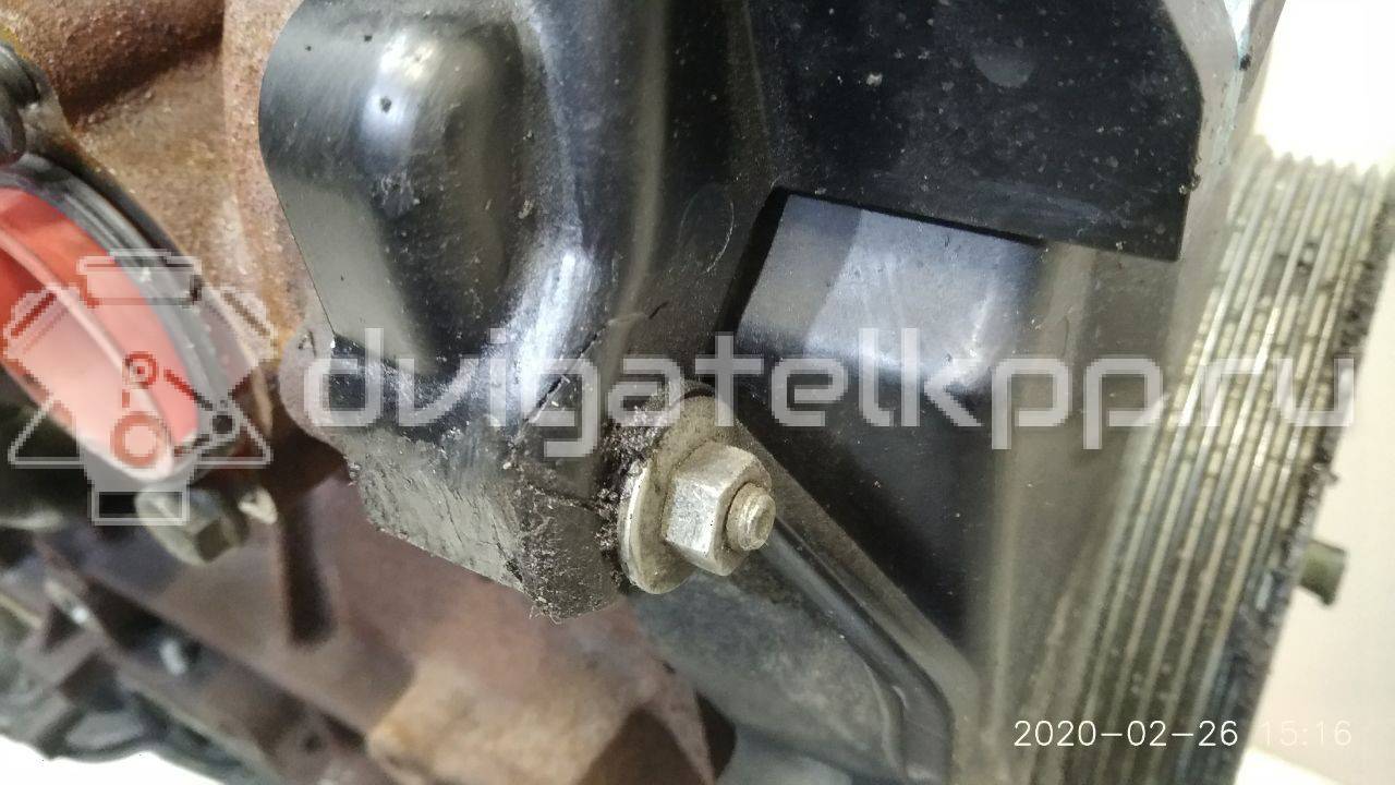 Фото Контрактный (б/у) двигатель TXBB для Ford / Ford Australia 163 л.с 16V 2.0 л Дизельное топливо 1838469 {forloop.counter}}