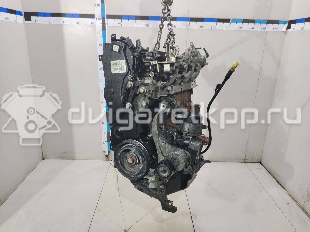 Фото Контрактный (б/у) двигатель TXBB для Ford Australia Mondeo 163 л.с 16V 2.0 л Дизельное топливо 1838469 {forloop.counter}}