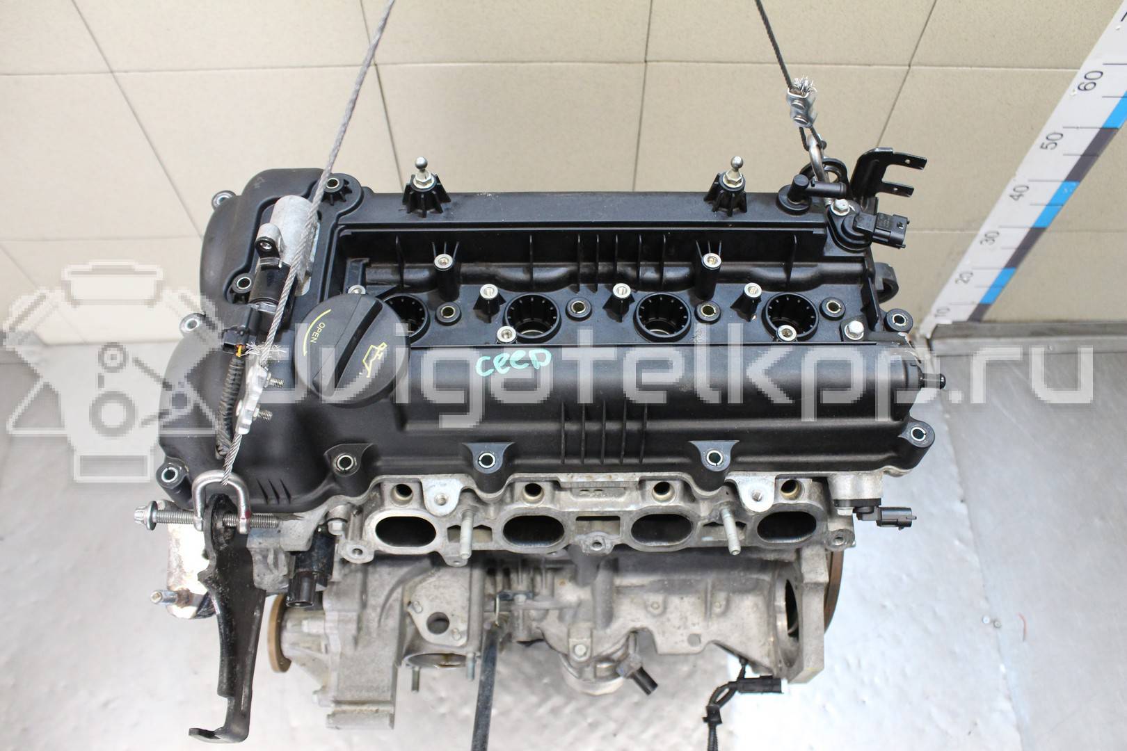 Фото Контрактный (б/у) двигатель G4FG для Hyundai / Kia 121-124 л.с 16V 1.6 л бензин Z71312BZ00 {forloop.counter}}