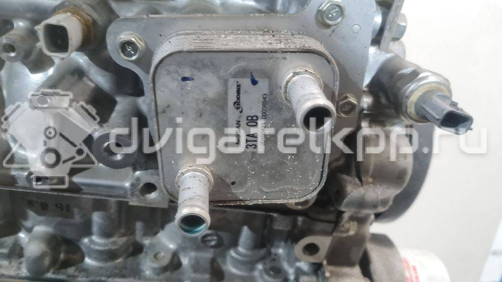 Фото Контрактный (б/у) двигатель QR25DE для Nissan (Dongfeng) / Suzuki / Mitsuoka / Nissan 141-182 л.с 16V 2.5 л бензин 101023TAAC {forloop.counter}}