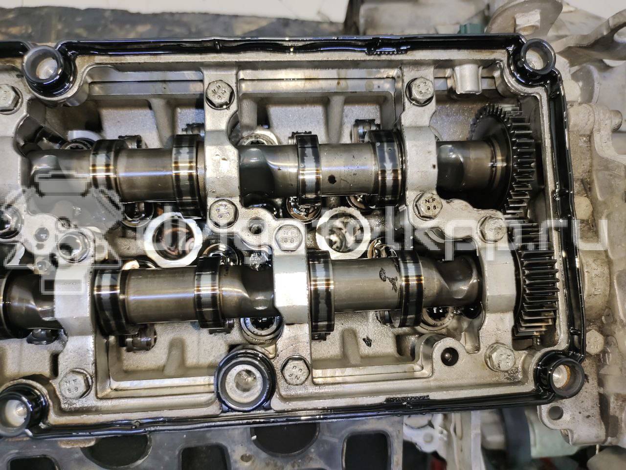 Фото Контрактный (б/у) двигатель CFFB для Volkswagen Tiguan / Cc / Sharan / Eos 1F7, 1F8 / Golf 140 л.с 16V 2.0 л Дизельное топливо 03L100090J {forloop.counter}}