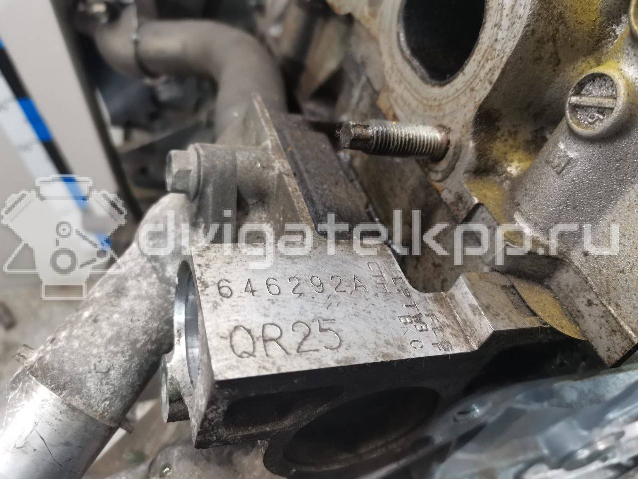 Фото Контрактный (б/у) двигатель QR25 для Infiniti / Nissan / Nissan (Zhengzhou) / Nissan (Dongfeng) 184 л.с 16V 2.5 л бензин 10102JC20B {forloop.counter}}