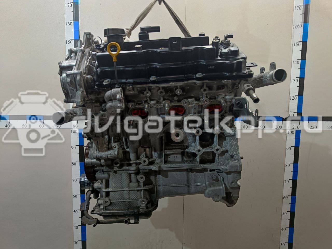 Фото Контрактный (б/у) двигатель VQ25DE для Mitsuoka / Samsung / Nissan / Nissan (Dongfeng) 182-209 л.с 24V 2.5 л бензин 10102JN0A1 {forloop.counter}}