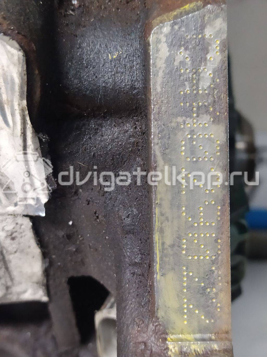 Фото Контрактный (б/у) двигатель CAAC для Volkswagen Transporter / Multivan 140 л.с 16V 2.0 л Дизельное топливо 03L100032M {forloop.counter}}