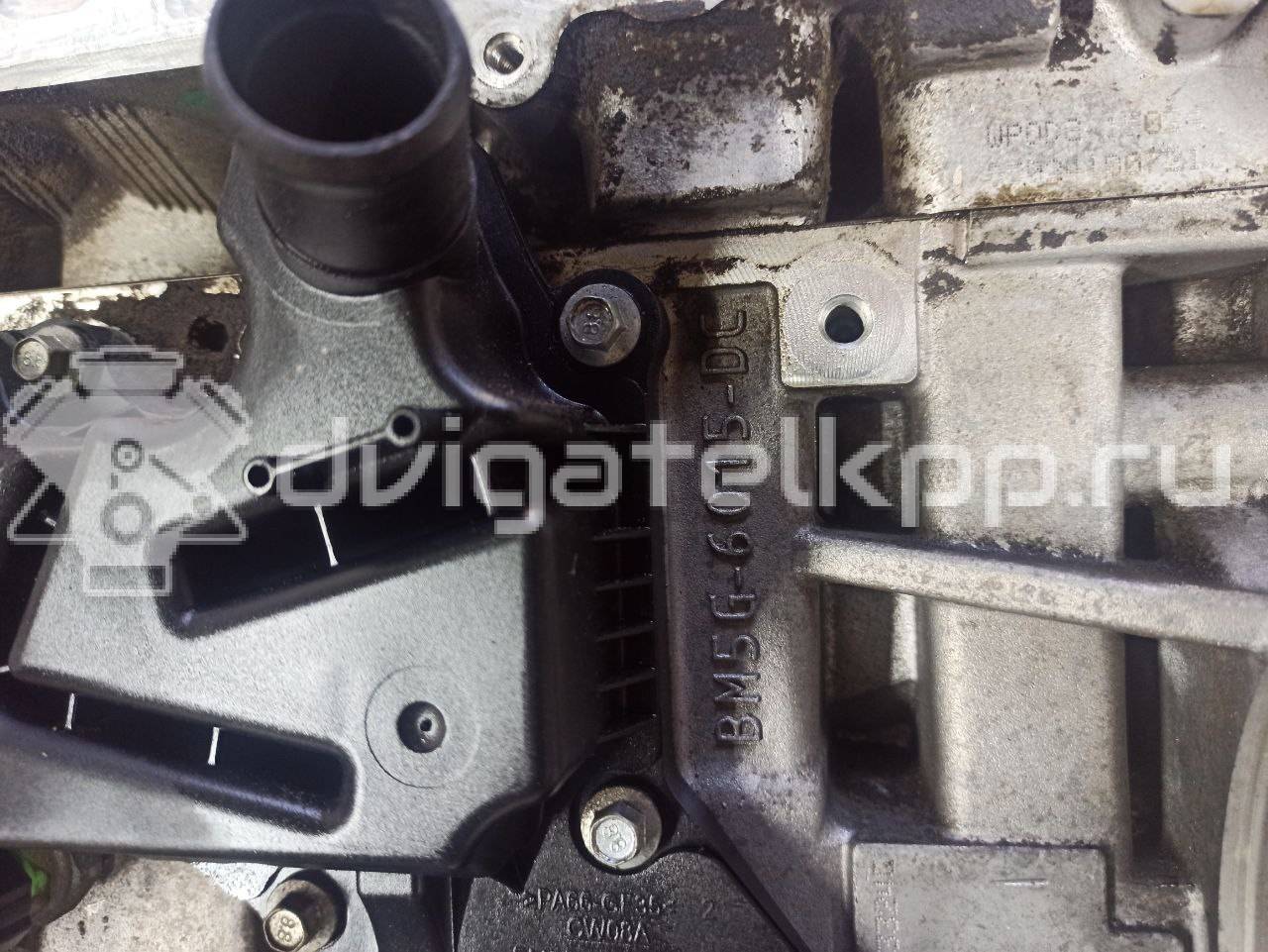 Фото Контрактный (б/у) двигатель JQMB для Ford / Ford Australia 150 л.с 16V 1.6 л бензин 2509226 {forloop.counter}}