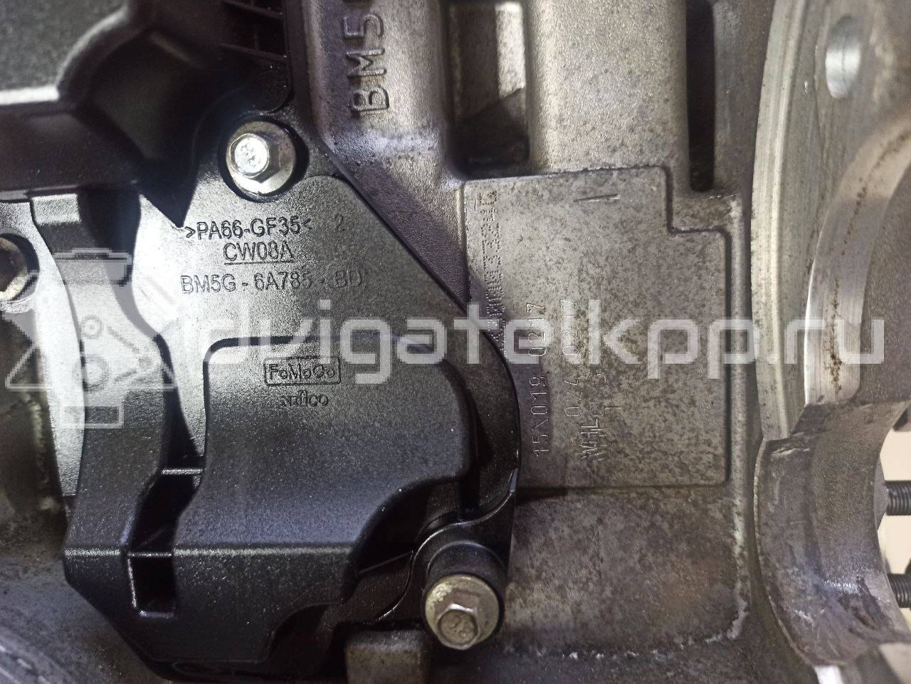 Фото Контрактный (б/у) двигатель JQMB для Ford / Ford Australia 150 л.с 16V 1.6 л бензин 2509226 {forloop.counter}}