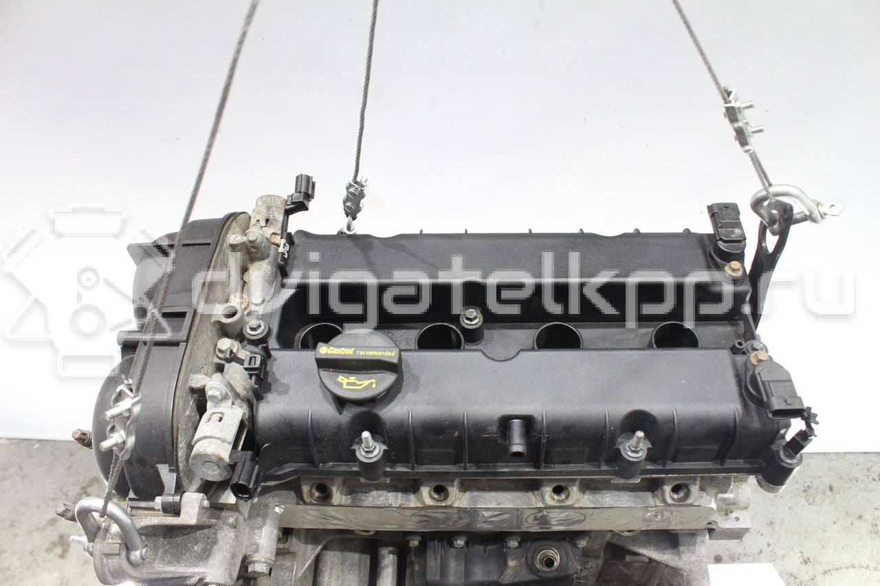 Фото Контрактный (б/у) двигатель PNDA для Ford / Ford Australia 125 л.с 16V 1.6 л бензин 1752082 {forloop.counter}}