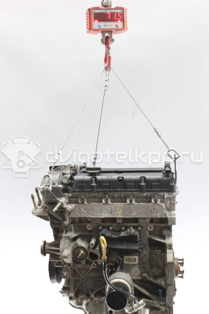 Фото Контрактный (б/у) двигатель PNDA для Ford / Ford Australia 125 л.с 16V 1.6 л бензин 1752082 {forloop.counter}}