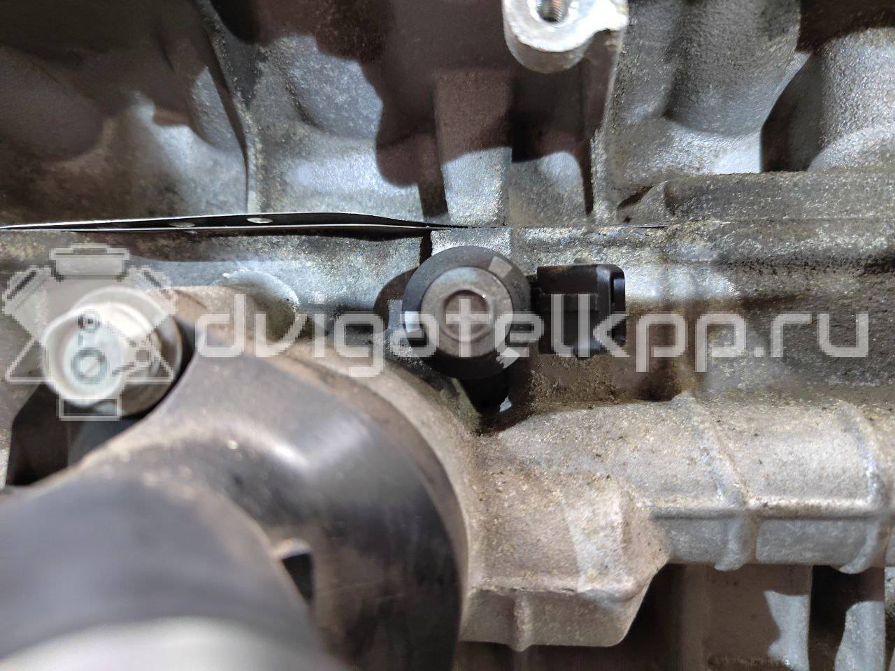 Фото Контрактный (б/у) двигатель HR16DE для Dongfeng (Dfac) / Nissan (Zhengzhou) / Samsung / Mazda / Mitsubishi / Nissan / Nissan (Dongfeng) 105-126 л.с 16V 1.6 л бензин 101021KA0F {forloop.counter}}