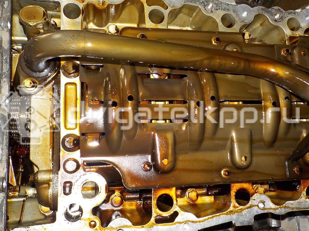 Фото Контрактный (б/у) двигатель 448PN для Land Rover Range Rover / Discovery 299-306 л.с 32V 4.4 л бензин LR004702 {forloop.counter}}