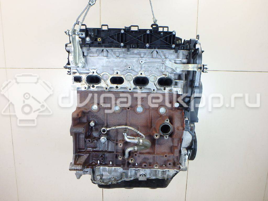 Фото Контрактный (б/у) двигатель TXBA для Ford Australia Mondeo 163 л.с 16V 2.0 л Дизельное топливо 1838469 {forloop.counter}}