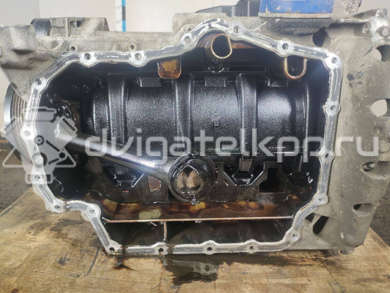 Фото Контрактный (б/у) двигатель CWVA для Volkswagen / Skoda / Seat 110 л.с 16V 1.6 л бензин 04E100037B {forloop.counter}}