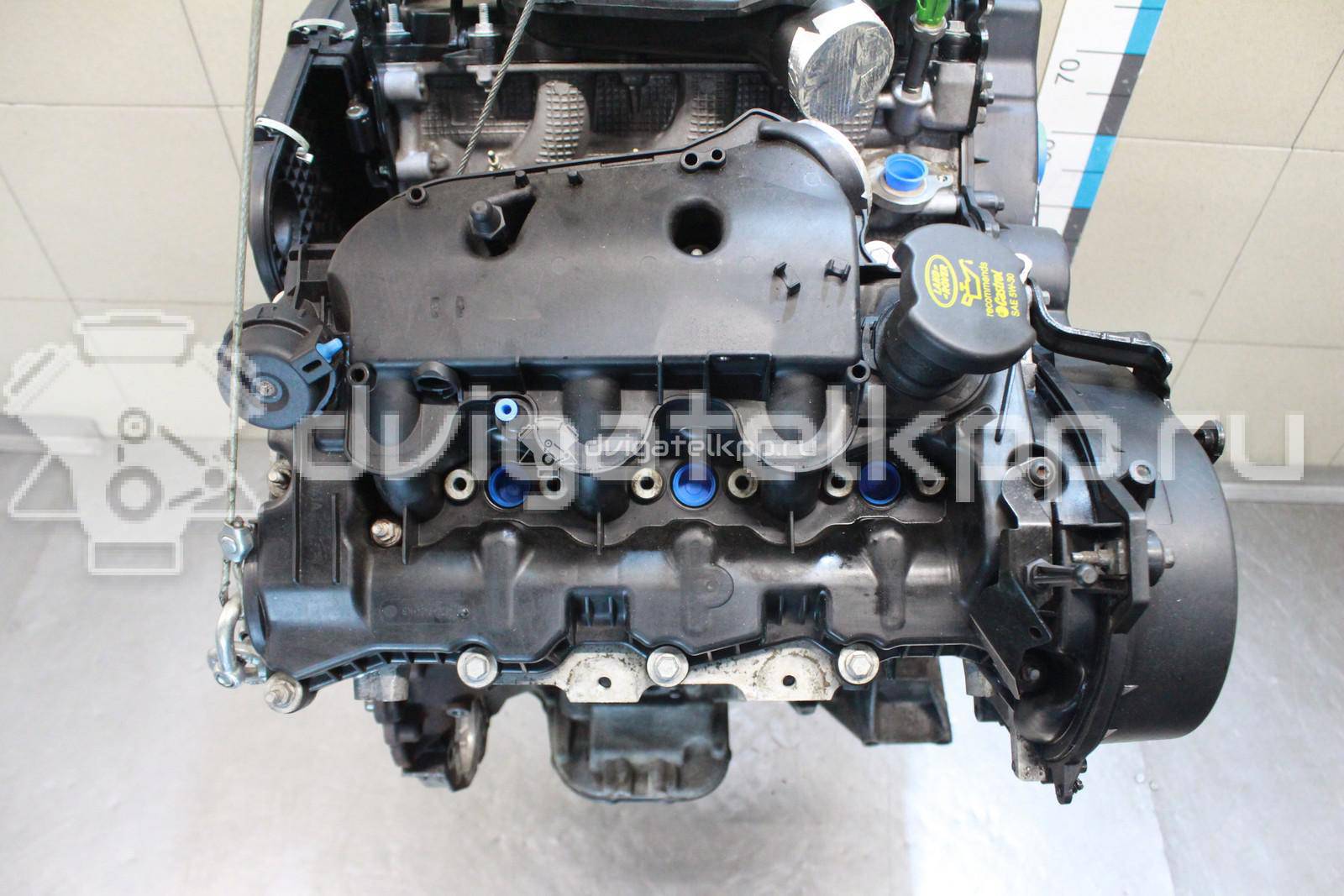 Фото Контрактный (б/у) двигатель 276DT для Ford Australia / Land Rover 190 л.с 24V 2.7 л Дизельное топливо LR004729 {forloop.counter}}