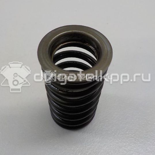 Фото Пружина клапана выпускного  13211ck80c для Venucia / Suzuki / Samsung / Nissan / Nissan (Dongfeng)