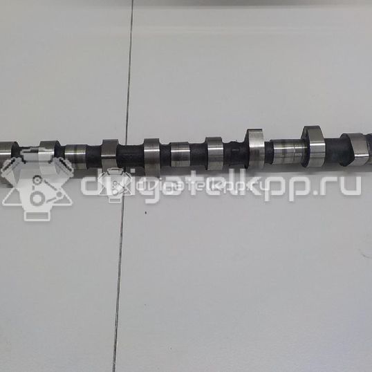 Фото Распредвал впускной для двигателя YD25DDTi для Nissan Bassara / Nv350 E26 / Serena / Sani / Presage 100-190 л.с 16V 2.5 л Дизельное топливо 130205M306