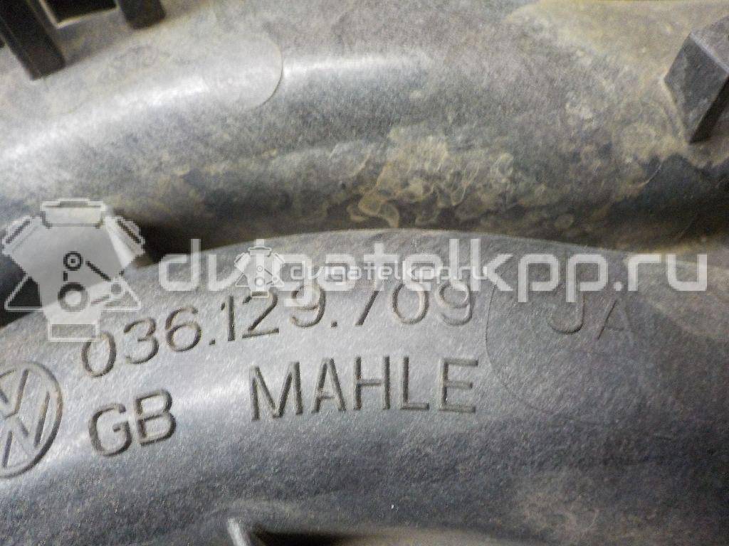 Фото Коллектор впускной для двигателя BUD для Skoda / Volkswagen 80 л.с 16V 1.4 л бензин 036129709JA {forloop.counter}}