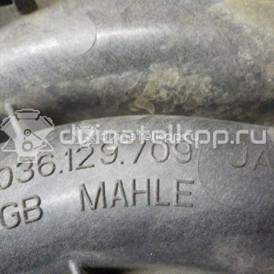 Фото Коллектор впускной для двигателя BUD для Volkswagen / Skoda 80 л.с 16V 1.4 л бензин 036129709JA