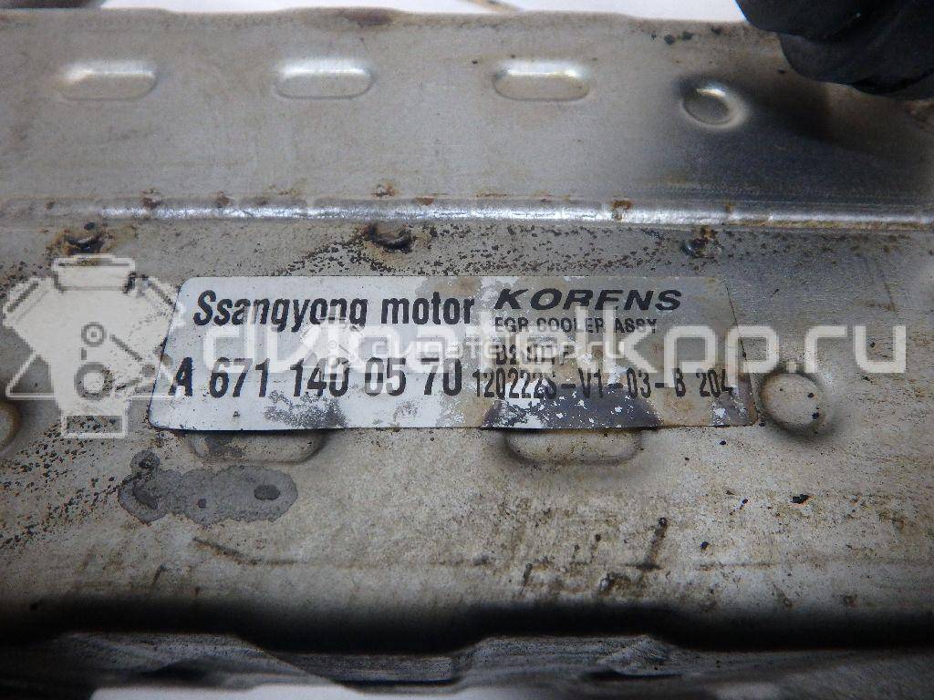 Фото Радиатор системы EGR  6711400570 для Ssang Yong Korando / Actyon {forloop.counter}}