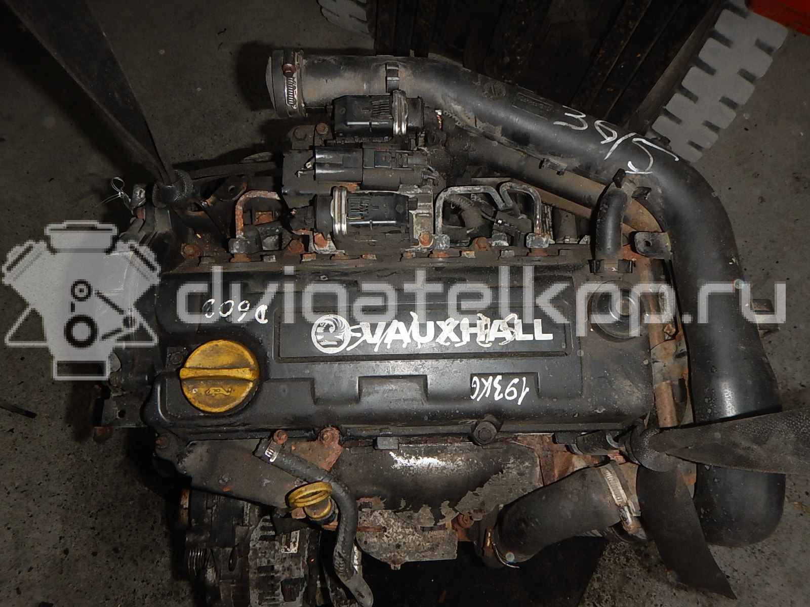 Фото Контрактный (б/у) двигатель Y 17 DTL для Opel / Chevrolet / Vauxhall 65 л.с 16V 1.7 л Дизельное топливо Y17DTL {forloop.counter}}