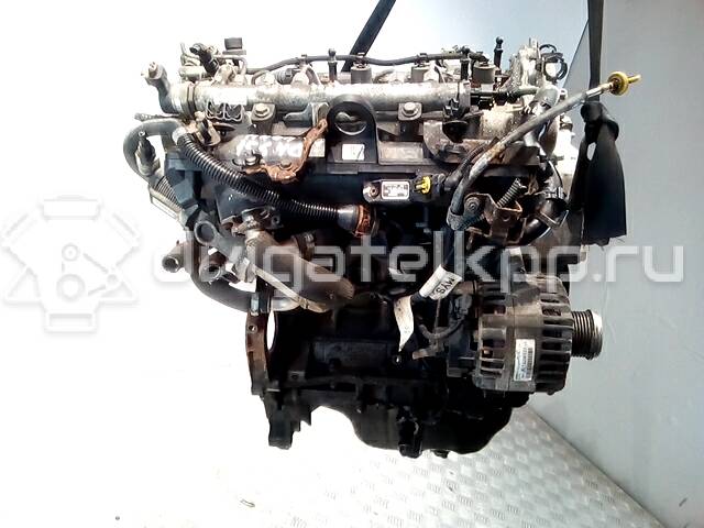 Фото Контрактный (б/у) двигатель Z 13 DTJ для Maruti Suzuki / Opel / Chevrolet / Vauxhall 75 л.с 16V 1.2 л Дизельное топливо {forloop.counter}}