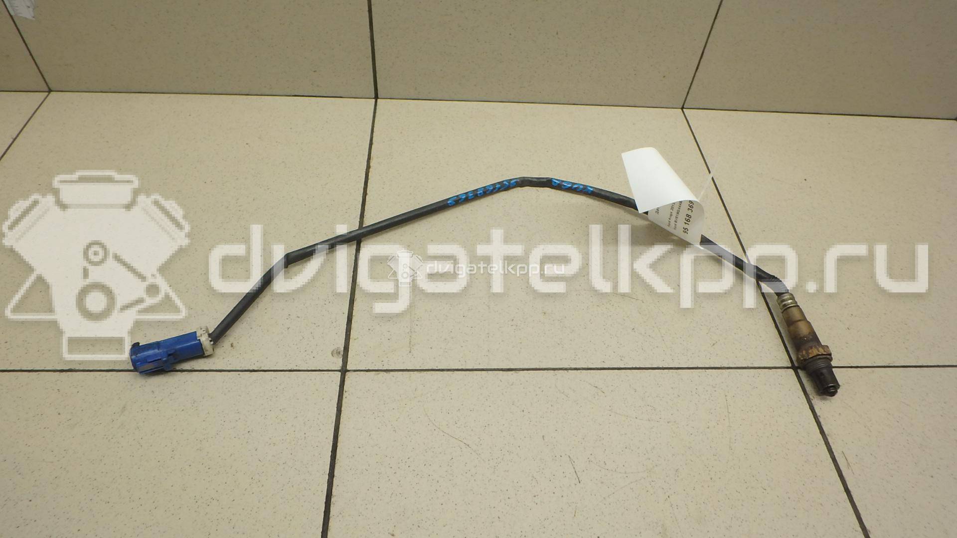 Фото Датчик кислородный/Lambdasonde  BV619G444BA для Ford Fiesta / Focus / Tourneo / Granada / Scorpio {forloop.counter}}