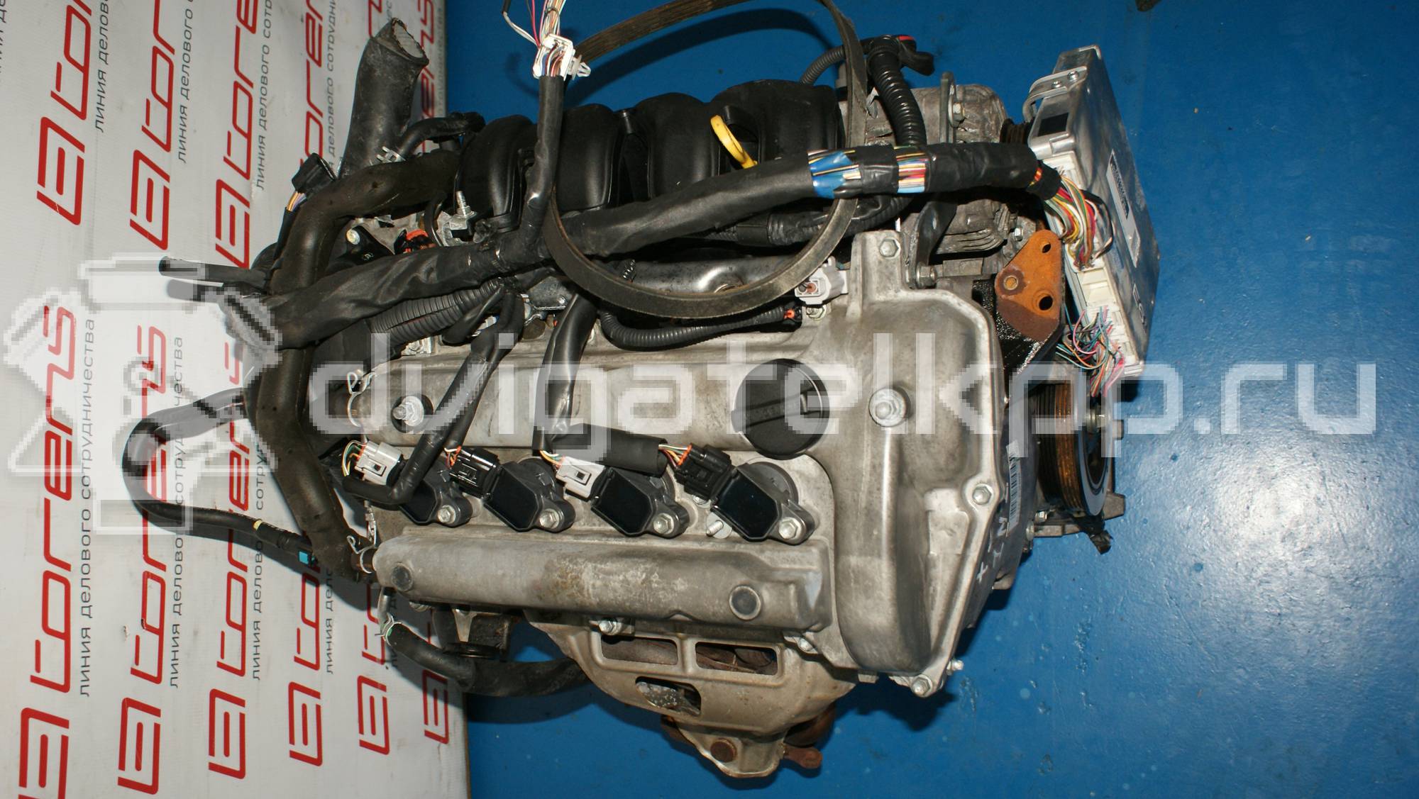 Фото Контрактный (б/у) двигатель 1NZ-FE для Toyota Echo P1 / Ist Ncp6 / Allion / Porte Nnp1 / Ractis P10 103-150 л.с 16V 1.5 л бензин {forloop.counter}}