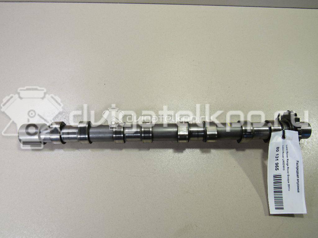 Фото Распредвал впускной для двигателя 224DT для Land Rover Freelander / Range Rover / Discovery 150-190 л.с 16V 2.2 л Дизельное топливо LR021913 {forloop.counter}}