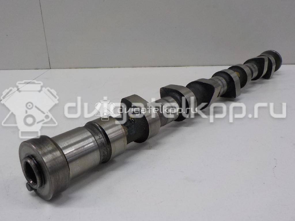 Фото Распредвал впускной для двигателя YD25DDTi для Nissan Bassara / Nv350 E26 / Serena / Sani / Presage 100-190 л.с 16V 2.5 л Дизельное топливо 130205M306 {forloop.counter}}