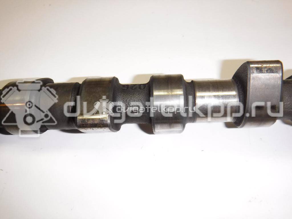 Фото Распредвал для двигателя 1F для Volkswagen / Seat 71-75 л.с 8V 1.6 л бензин 026109101M {forloop.counter}}